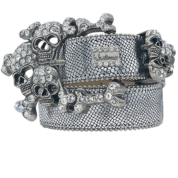 The Silver Skull